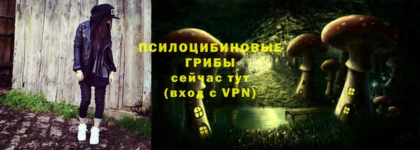 дмт Алексин