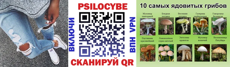 Галлюциногенные грибы Psilocybine cubensis  как найти закладки  Бийск 